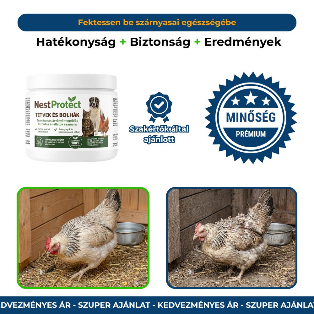 NestPro Baromfi