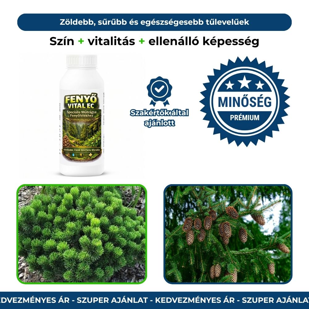 FenyőVital EC