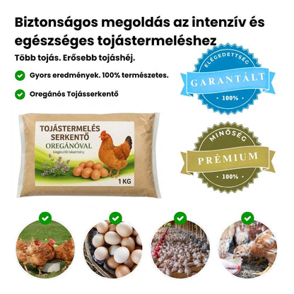 Tojásserkentő Oregánóval