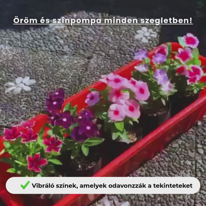 Ellenálló Vinca magok