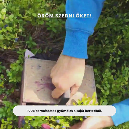 Édes Kerti Áfonya